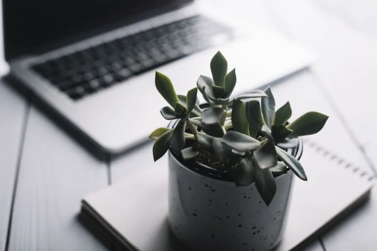 laptop-notepad-composition-desk¿Cómo influye el marketing Ontológico aplicado a marcas y productos