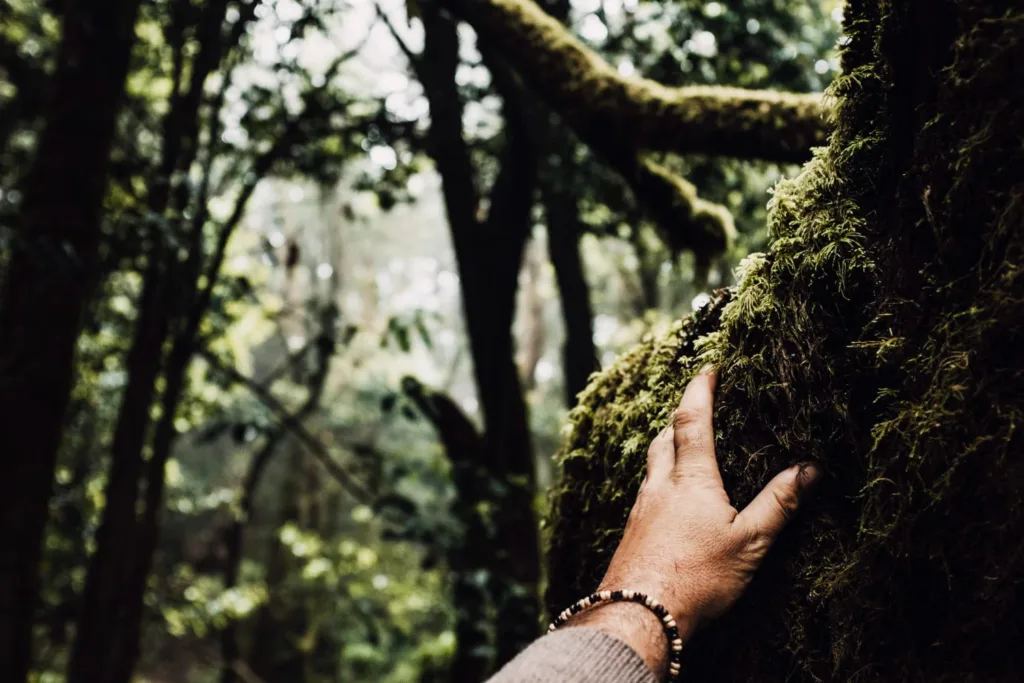 close-up-hand close-up-water-drop-plant-s-leaf Marketing Ontológico en el Mundo del Crowdworking (1)