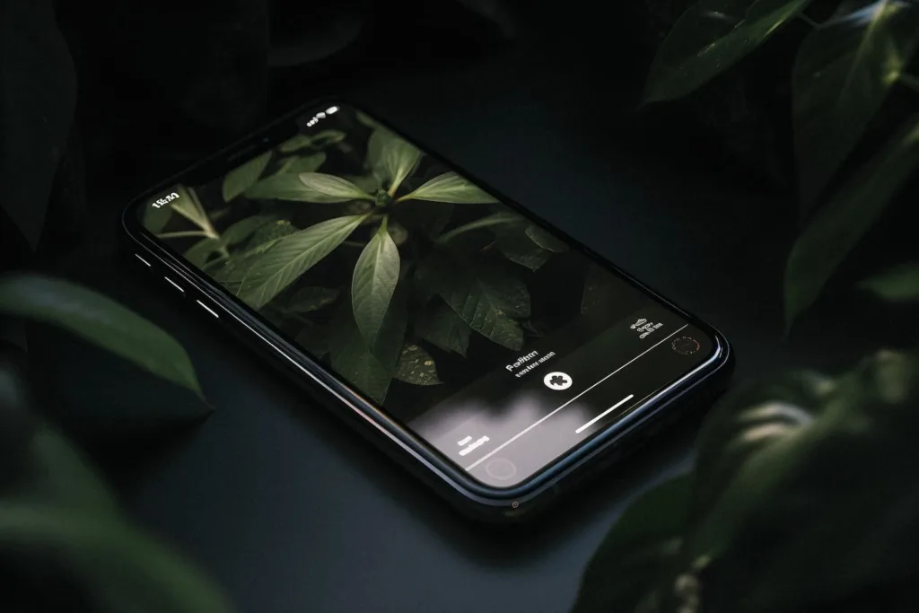 telefono-pantalla-video-que-muestra-grabacion-video pantalla-que-dice-palabra Tarjetas digitales de negocio su impacto en las ventas online