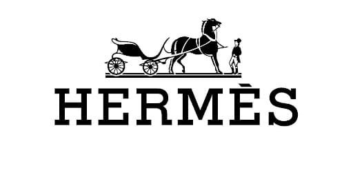 logo de hermes-estrategias seo para productos y marcas premium en guatemala y Monterrey mexico