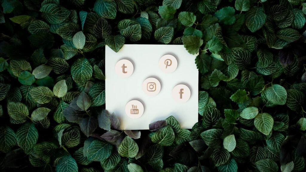 papel-dentro-de-follaje-de-plantas-verdes-con-iconos-de-redes-sociales,-Guía-para-Crear-Contenido-Efectivo-en-Redes-Sociales (1)